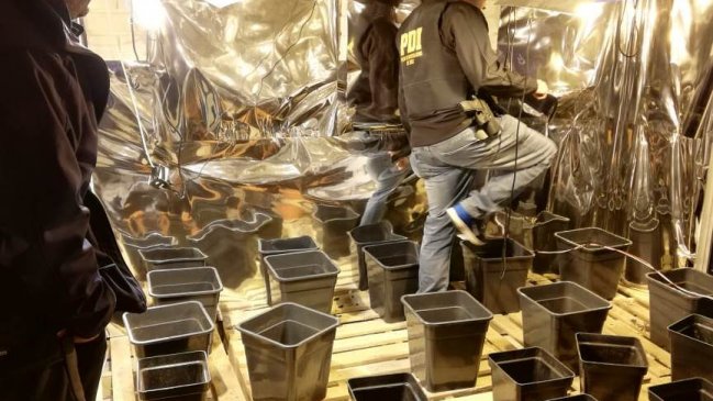 Condenan a narcos mexicanos que instalaron 