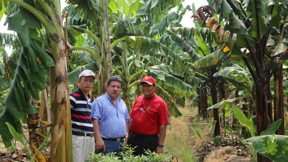 Científicos chinos y latinoamericanos trabajan juntos para aportar conocimiento a protección de biodiversidad
