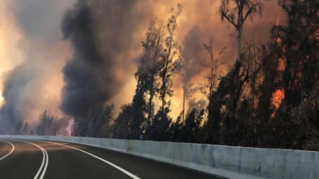 Alcalde interpuso querella tras incendio forestal de Panquehue: Sospechan relación con tomas de terreno