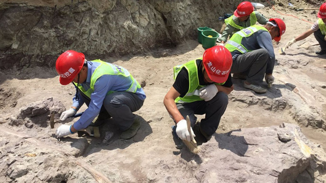 Hallan raro fósil de cría de dinosaurio en norte de China
