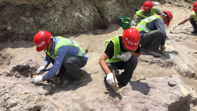 Hallan raro fósil de cría de dinosaurio en norte de China
