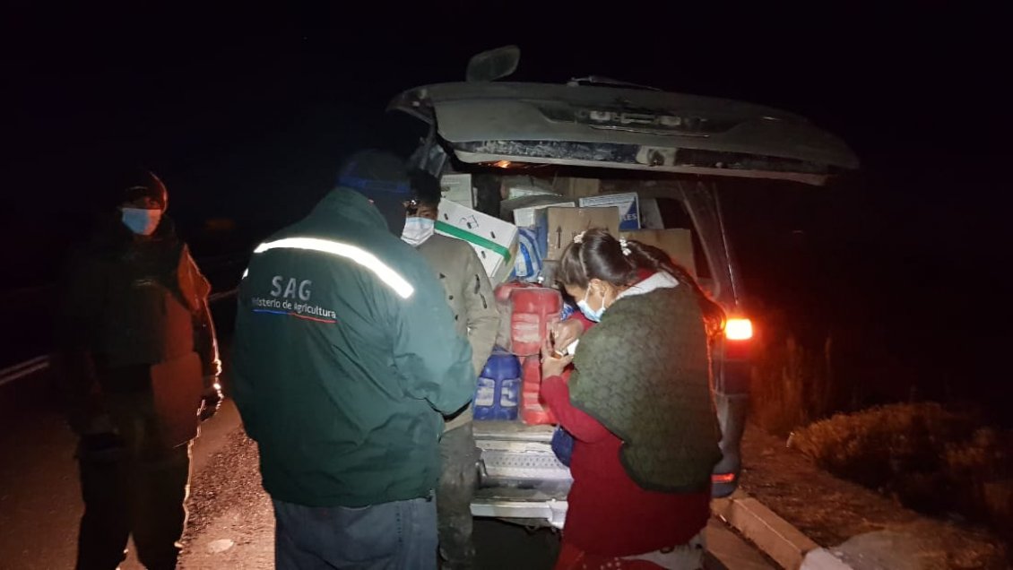 Decomisan seis toneladas de productos agropecuarios de contrabando en Tarapacá