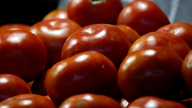 México vigilará proceso de prohibición de entrada de tomates frescos a EEUU
