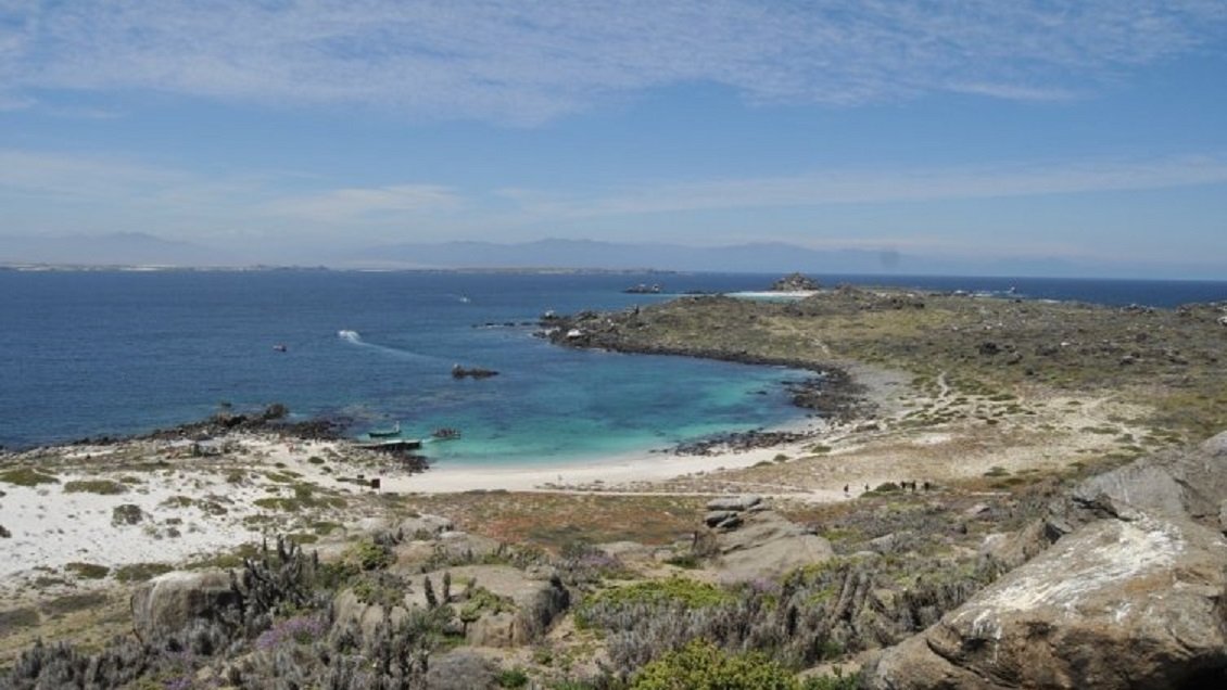 Regiones de Coquimbo y Atacama se unen para proteger el Archipiélago de Humboldt