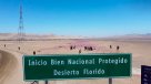  Desierto florido en riesgo por el cambio climático 