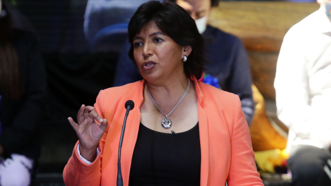 Diputada Cariola cuestionó proyecto de Provoste que crea comisión para revisar 