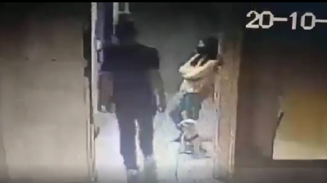 Solo por sus ladridos: Hombre mató de una patada a perro guía de mujer no vidente