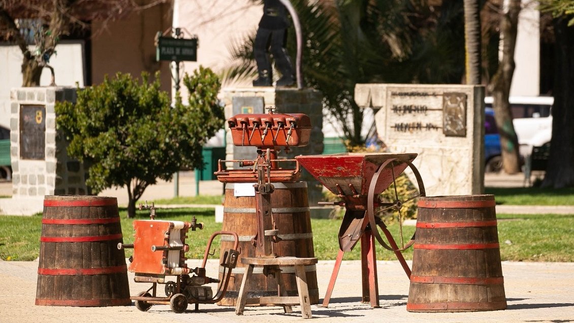 Cauquenes reeditará la Fiesta del Vino País en medio de la pandemia