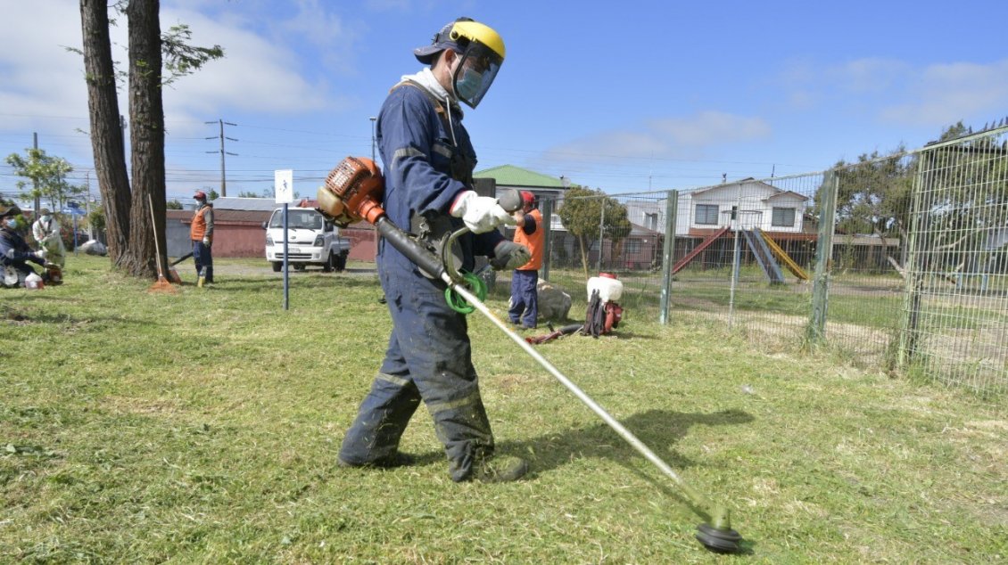 Municipio de Chillán trabaja en plan de emergencia para mantención de áreas verdes