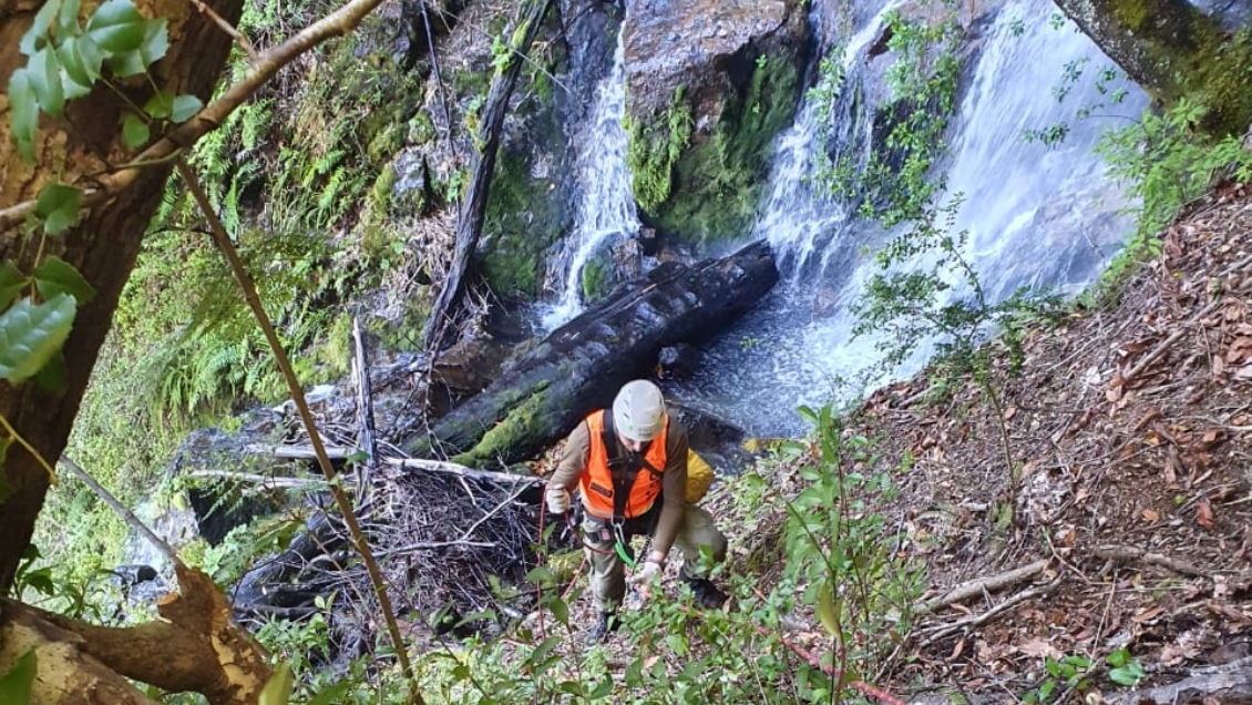Continúa búsqueda de Nicole Ramírez, joven desaparecida en Puerto Varas