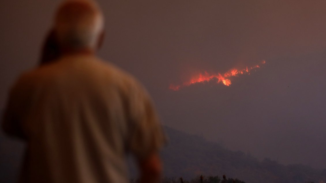Incendio forestal ha consumido 166 hectáreas de bosque en Paine