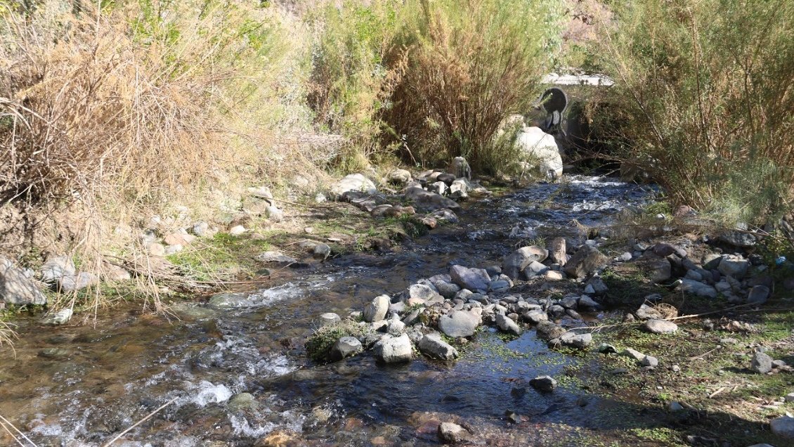 Denuncian presunto hurto de un millón de metros cúbicos de agua del Río Choapa