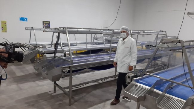 Insólito: Empresario sortea auto cero kilómetro para atraer trabajadores de temporada en el Maule