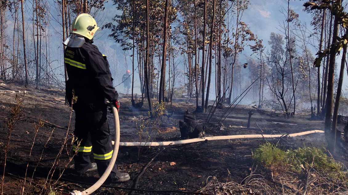 Controlado el incendio forestal del sector Laguna Verde de Valparaíso