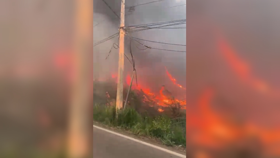 Incendio forestal consumió 2,5 hectáreas y dos viviendas en Paine