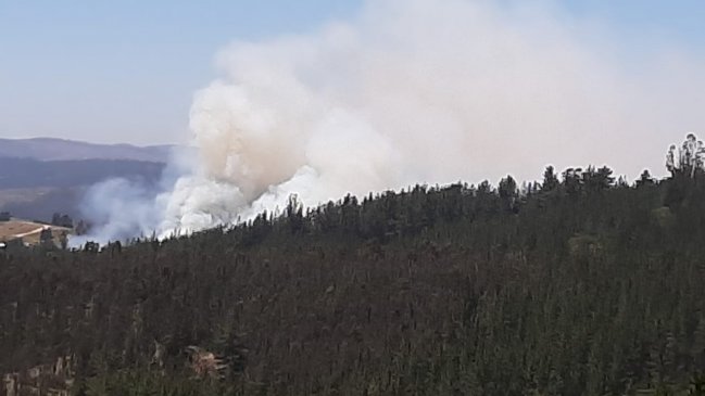 Declaran alerta roja para Paredones por incendio forestal