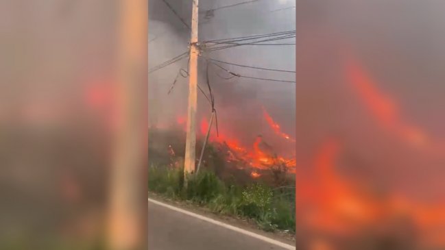 Incendio forestal consumió 2,5 hectáreas y dos viviendas en Paine