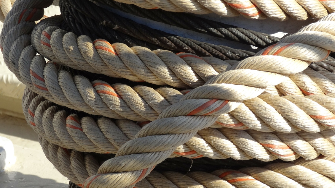 Vecinos de Maipú amarraron a un árbol a sujetos que intentaron robar un vehículo