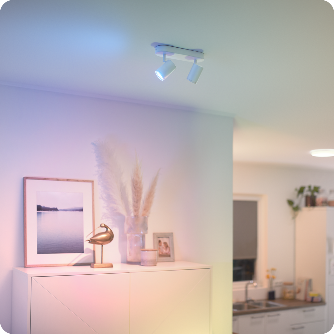 Imagen foto_00000003