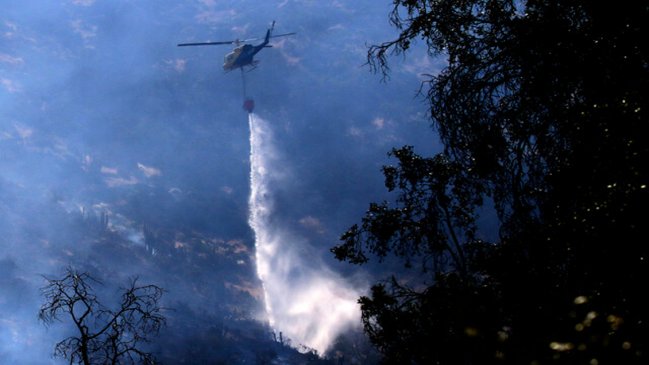 Controlado incendio forestal en el cerro Manquehue