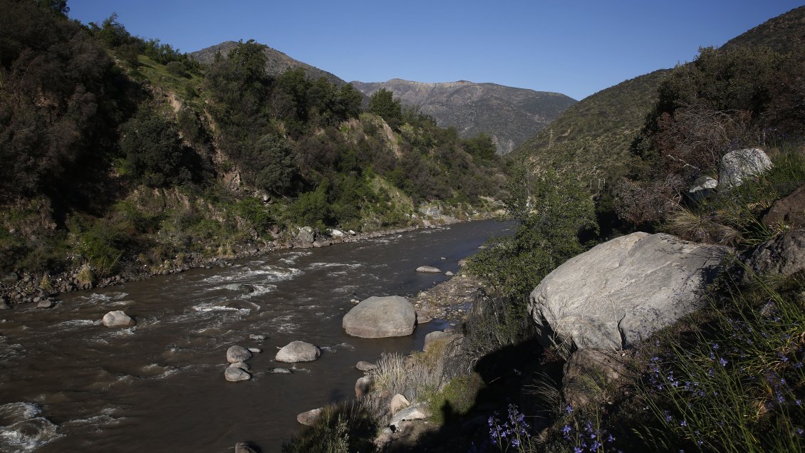 Alto Maipo inició proceso de reorganización financiera