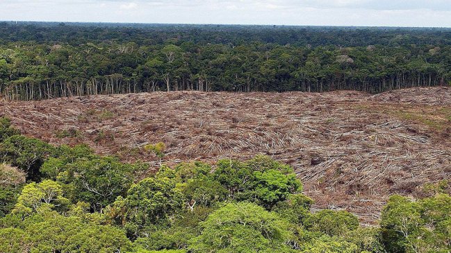 La Amazonía brasileña registra la mayor deforestación de los últimos 15 años