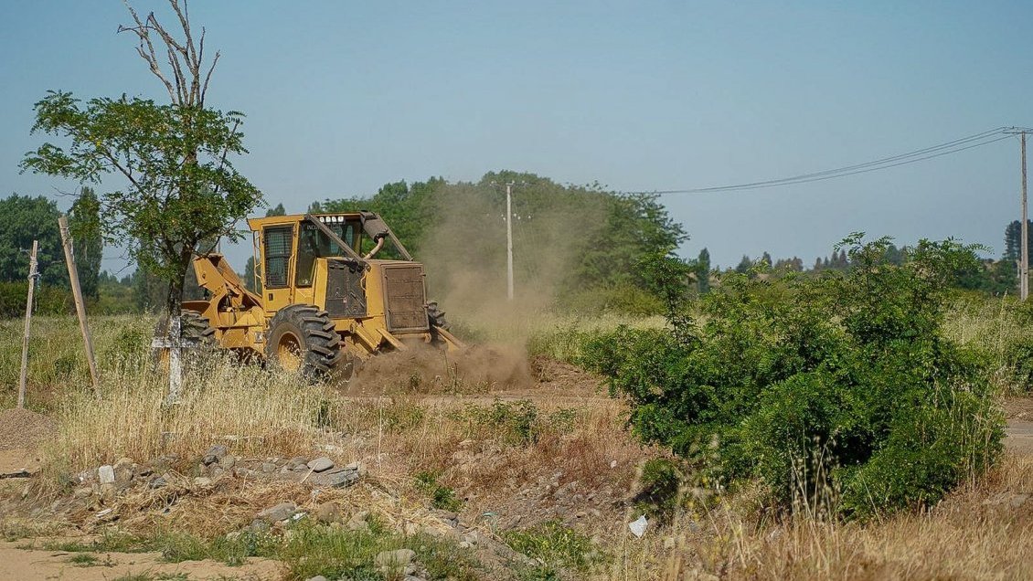 Conaf sumará 320 kilómetros de cortafuegos para prevenir incendios forestales en Ñuble