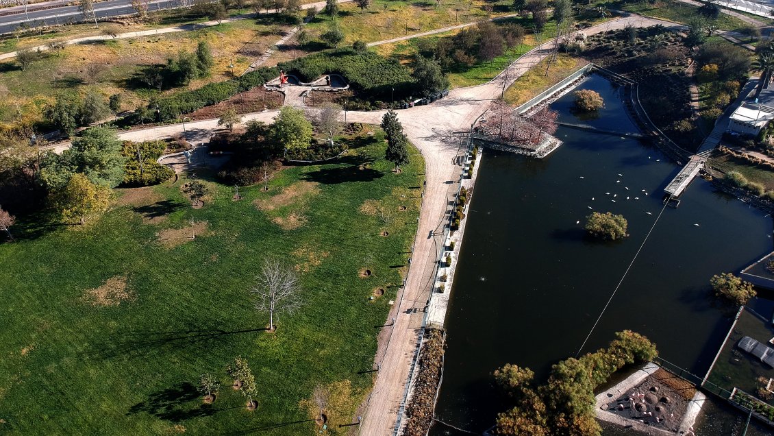 Zonas urbanas que poseen árboles son dos a cuatro veces más frías, según estudios satelitales