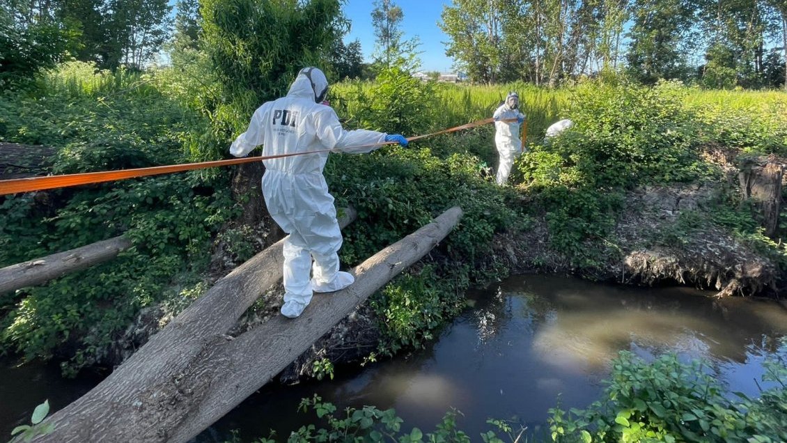 Detectives investigan hallazgo de cadáver de una mujer en San Carlos