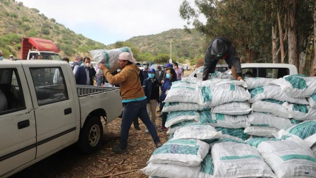 O'Higgins: Entregan forraje a agricultores afectados por la sequía