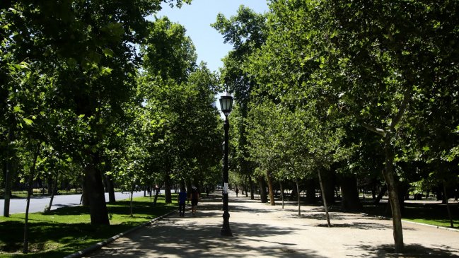 Municipio de Santiago acusa que evaluación ambiental del trazado de la Línea 7 es 