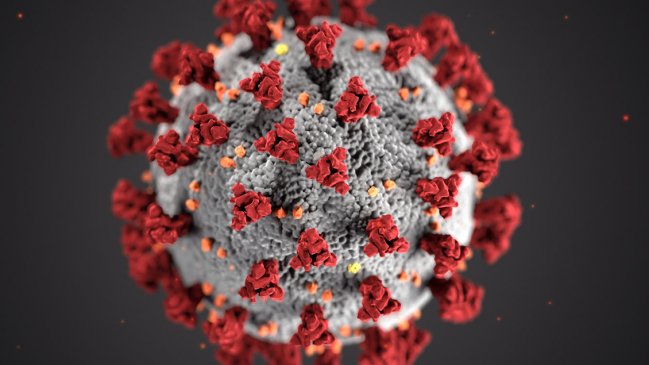  Nueva variante del coronavirus presenta una amalgama de 30 mutaciones  