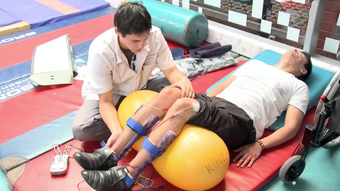 Chiloé inicia campaña para que su centro de rehabilitación sea 