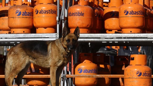 Sindicato de trabajadores de la ENAP denunció acaparamiento de cilindros de gas