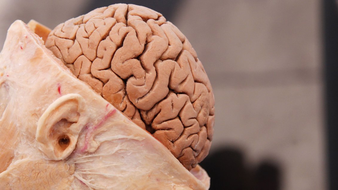 Nuevo marco regulatorio de las neurotecnologías avanzó a la Cámara Baja