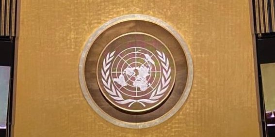 ONU lanzó un libro sobre los desafíos en Latinoamérica durante la pandemia