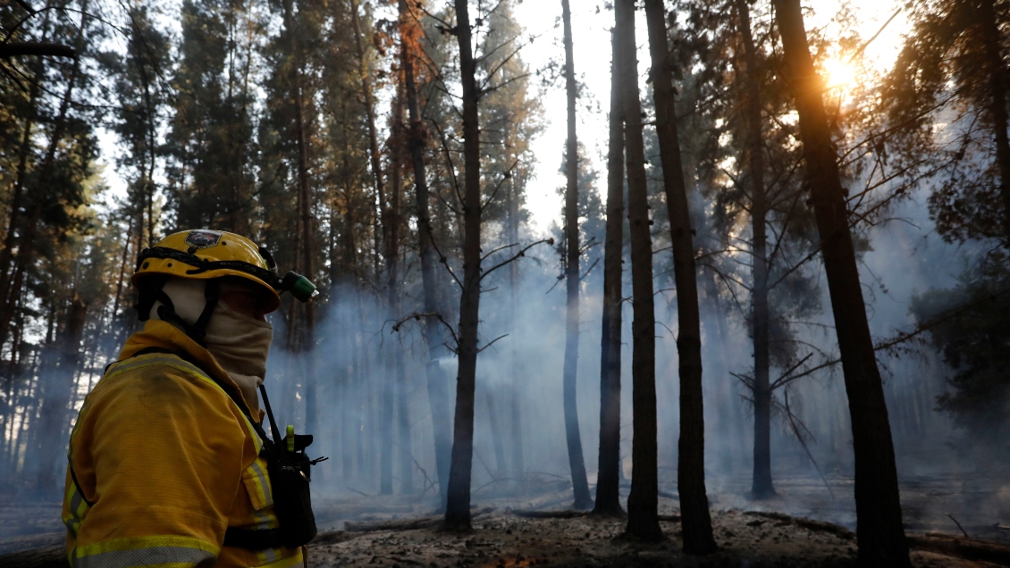 Conaf combate incendios forestales en Padre Las Casas y Traiguén