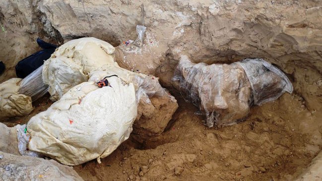   Encuentran restos de un mamut de hace más de 10.000 años en centro de México 