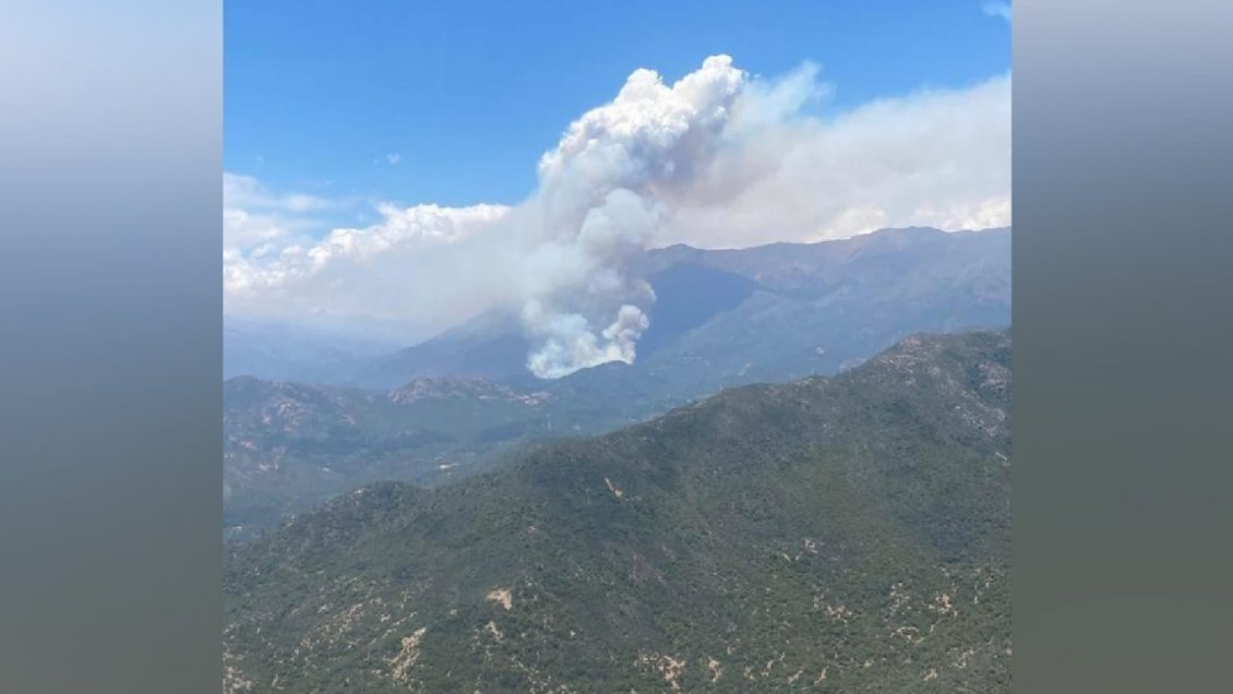 Declaran alerta roja por incendio forestal en San Fernando