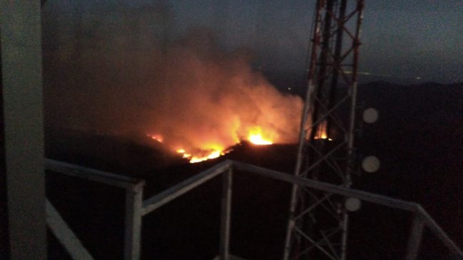 Declaran alerta roja por incendio forestal en la comuna de Ninhue