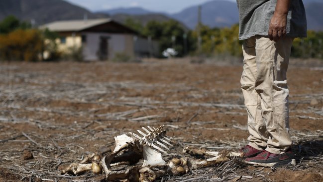 Convenio entre Chile y China busca enfrentar la desertificación y el cambio climático