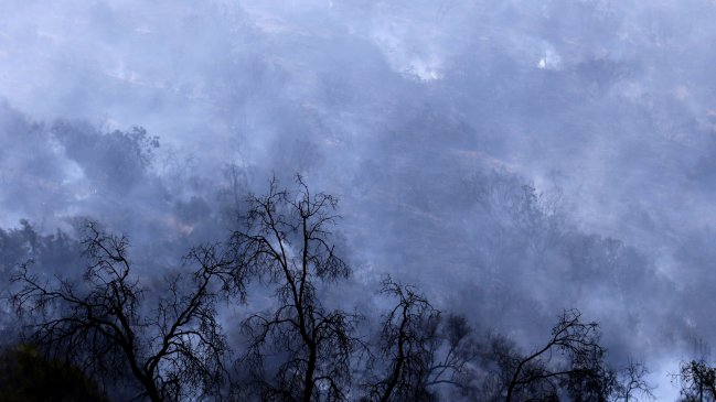 Alerta temprana preventiva por Incendio forestal en Rauco