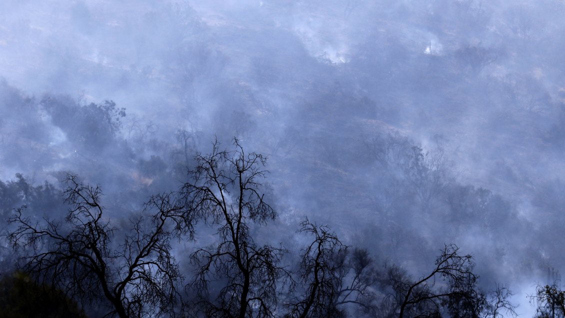 Alerta temprana preventiva por Incendio forestal en Rauco