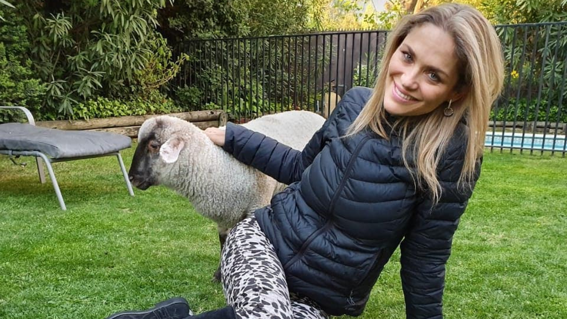 Numeróloga Kenita Larraín tras predecir el triunfo de Boric: 