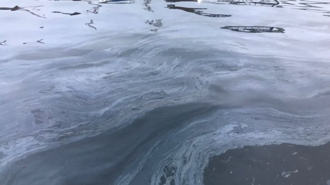 Rotura de cañería en desuso derramó 200 litros de combustible en la bahía de Quintero