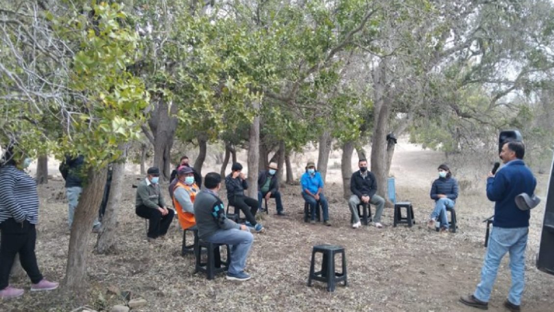 Canela busca potenciar plantación de vegetación de niebla para captar agua