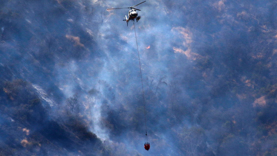 Cuatro alertas rojas por incendios forestales fueron declaradas este fin de semana en el país