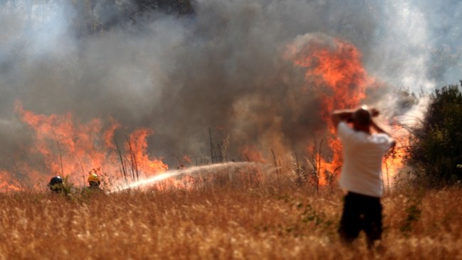 Incendios forestales han arrasado con más de 11 mil hectáreas en la zona centro sur
