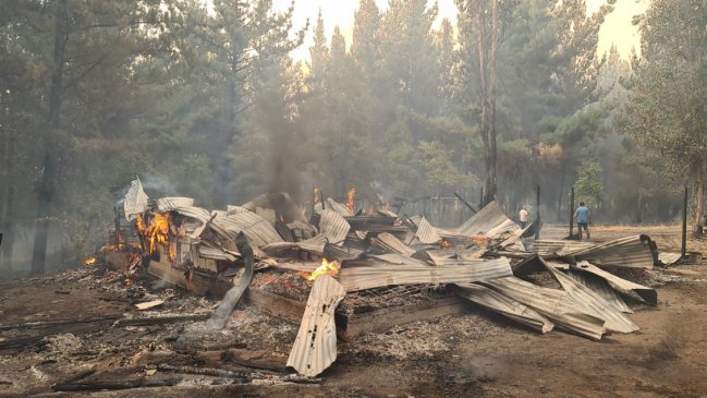 Incendios forestales: Conaf Biobío mandó apoyos a Ñuble y La Araucanía