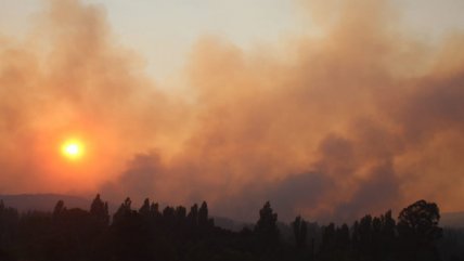   Más de 350 personas y 20 aeronaves combaten el incendio forestal en Quillón 